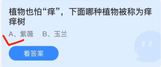 蚂蚁庄园12月13日：植物也怕痒下面哪种植物被称为痒痒树？