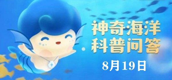 神奇海洋今日答案8.19：海星是鱼类吗