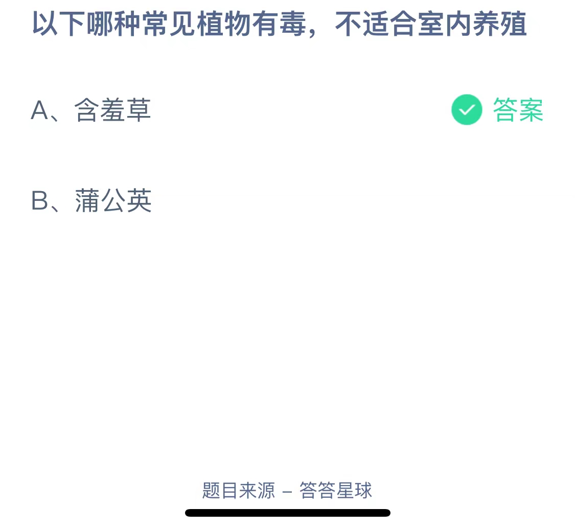 以下哪种常见植物有毒，不适合室内养殖